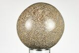 Polished Agatized Dinosaur (Gembone) Sphere - Morocco #198510-1